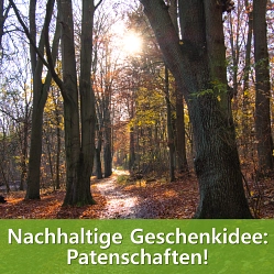 Adventskalender 2021_7_Bild1 © Samtgemeinde Sottrum